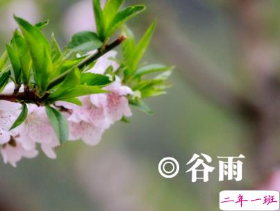 2020谷雨节气唯美说说配图 谷雨祝福唯美暖人心14