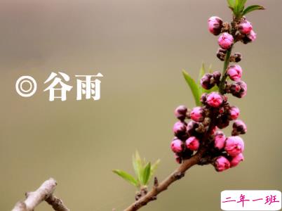 2020谷雨节气唯美说说配图 谷雨祝福唯美暖人心15