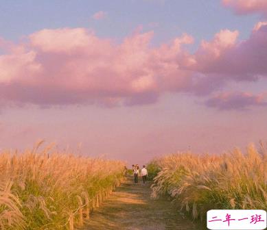 一眼就喜欢上的表白情话 给对象表白感动暖心情话1