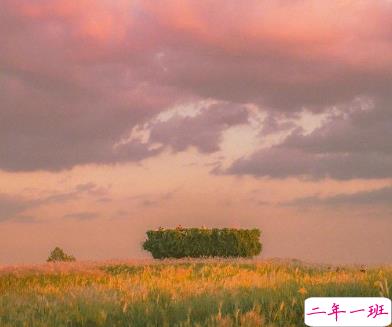 一眼就喜欢上的表白情话 给对象表白感动暖心情话2