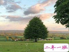 唯美文艺说说简短带图片 别错过落日与夕阳