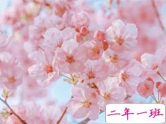 春天桃花盛开的说说带图片 赏花晒花的朋友圈文案