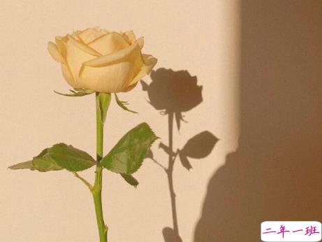 2021跨年夜发朋友圈的秀恩句子 跨年夜最甜美的爱情句子2