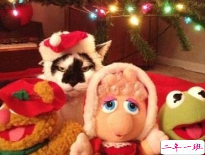 2019圣诞节发的空间说说带图片 最美圣诞节句子精选13