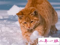 2020下雪天朋友圈文案带图片 雪景说说唯美浪漫