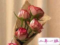 七夕微信示爱表白密码 情人节微信翻译的表白情话