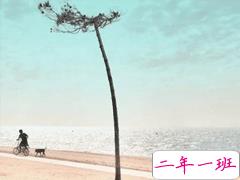 朋友圈唯美励志语录配图 最新一句话说说励志大全