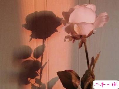 八月你好说说唯美句子配图 2019最新八月说说好听的句子10