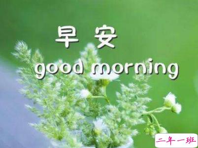 抖音早安心语唯美带图片 早安问候语幽默一句话2