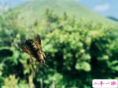 夏天可以发的文艺说说带图片 夏日清凉说说心情短语3