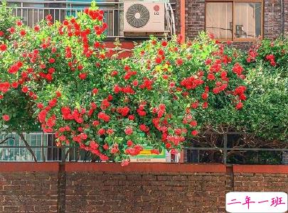 抖音早安心语唯美带图片 早安问候语幽默一句话5