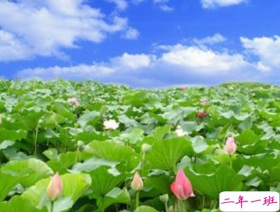 夏天可以发的文艺说说带图片 夏日清凉说说心情短语6