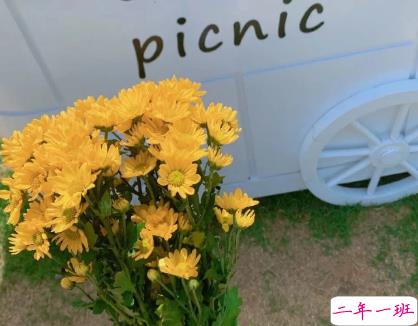 最暖心的情话短句 文字控情话句子醉人心扉2