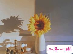 最暖心的情话短句 文字控情话句子醉人心扉