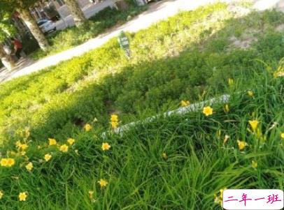 抖音早安心语唯美带图片 早安问候语幽默一句话9