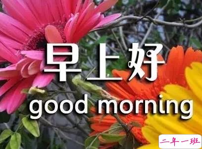 抖音早安心语唯美带图片 早安问候语幽默一句话10