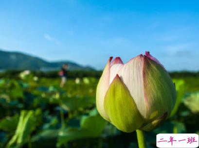 夏天可以发的文艺说说带图片 夏日清凉说说心情短语13