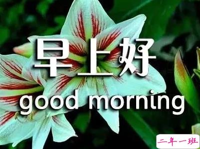 抖音早安心语唯美带图片 早安问候语幽默一句话15