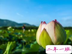 夏天可以发的文艺说说带图片 夏日清凉说说心情短语