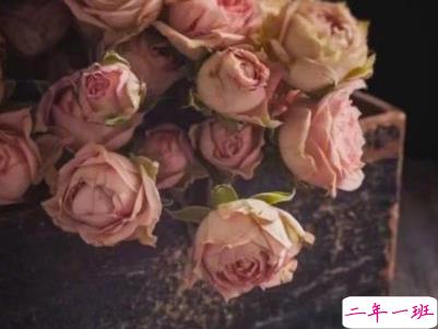 微信经典文艺小短句带图片 听起来很有感觉的文艺句子5