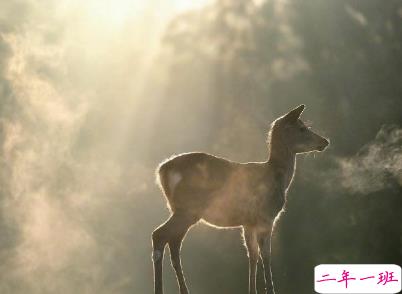 微信经典文艺小短句带图片 听起来很有感觉的文艺句子6