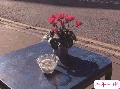 微信经典文艺小短句带图片 听起来很有感觉的文艺句子10