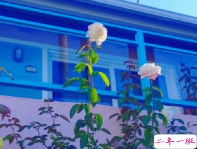 表达浓浓爱意的句子 暖心有爱的温柔说说2