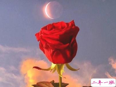 早安心语唯美说说带图片 简单温暖的早安句子6