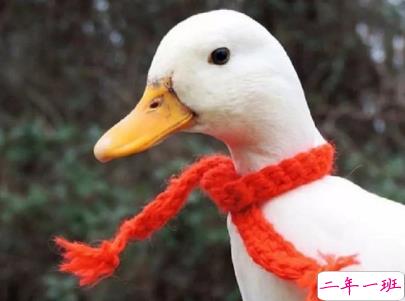 早安心语唯美说说带图片 简单温暖的早安句子7