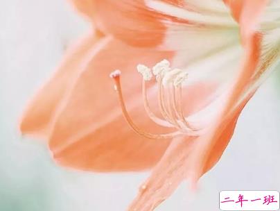 早安心语唯美说说带图片 简单温暖的早安句子10