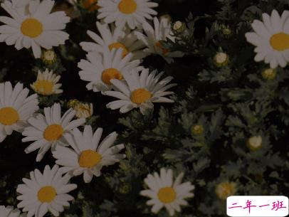 对喜欢的人说一句话 有点伤感心酸的爱情句子2