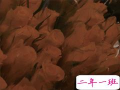 对喜欢的人说一句话 有点伤感心酸的爱情句子