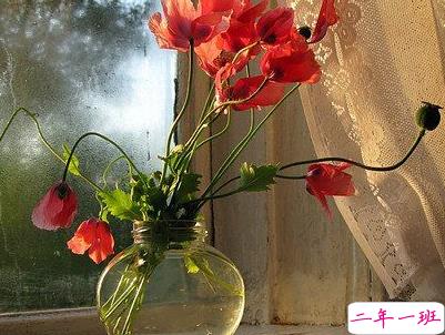 2019小满节气祝福语说说带图片 小满节气的优美句子好听13