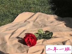 甜甜的歌词文案 适合表白的歌词句子超有感觉