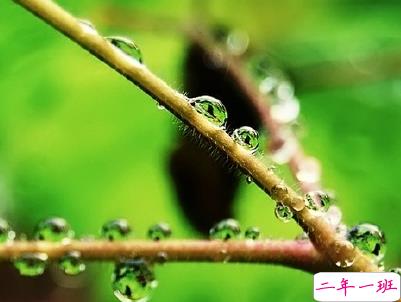 女生小清新早安说说带图片 简约好听的早安句子大全2