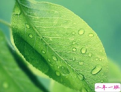 女生小清新早安说说带图片 简约好听的早安句子大全4