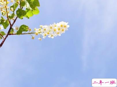 女生小清新早安说说带图片 简约好听的早安句子大全6