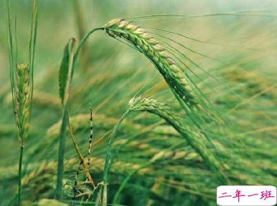 女生小清新早安说说带图片 简约好听的早安句子大全14