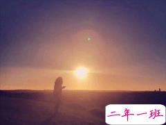 缓解失恋难过的句子 写给失恋的人看安抚人心