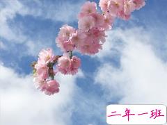 女生小清新早安说说带图片 简约好听的早安句子大全