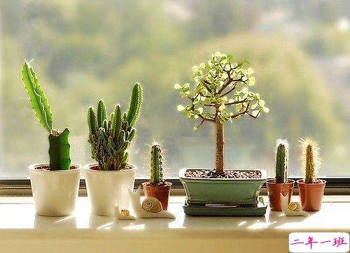 2019四月朋友圈小清新句子带图片 四月你好淡淡的阳光淡淡的风2