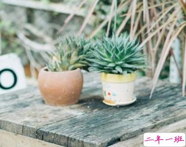 描写春天的唯美句子带图片 2019适合春天的微信说说句子11