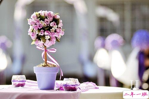 2019四月朋友圈小清新句子带图片 四月你好淡淡的阳光淡淡的风11