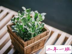 2019四月朋友圈小清新句子带图片 四月你好淡淡的阳光淡淡的风