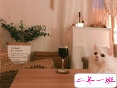 爱情句子经典感人 我就对余生充满期待