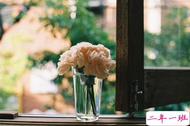 早安说说唯美阳光带图片 早安问候语大全简短温暖13