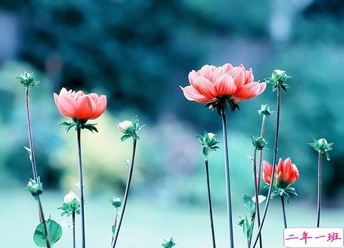 2019春分朋友圈早安祝福语带图片 春分唯美说说简单一句话3