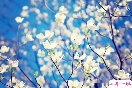 2019春分朋友圈早安祝福语带图片 春分唯美说说简单一句话4