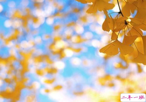 2019春分朋友圈早安祝福语带图片 春分唯美说说简单一句话7