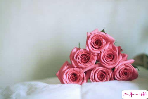 2019春分朋友圈早安祝福语带图片 春分唯美说说简单一句话8